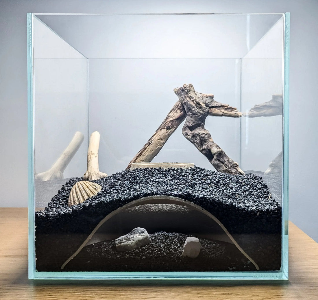 The Complete Guide to Aquarium Caves: Safety, Materials, and Best Choices - Blubber Cove